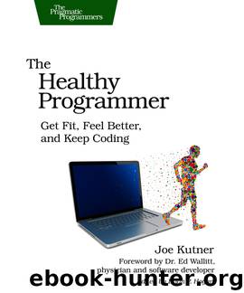 The Healthy Programmer (for Jan S Morrison) by Joe Kutner