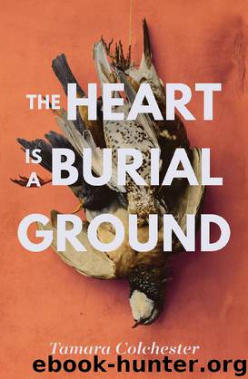 The Heart Is a Burial Ground by Tamara Colchester
