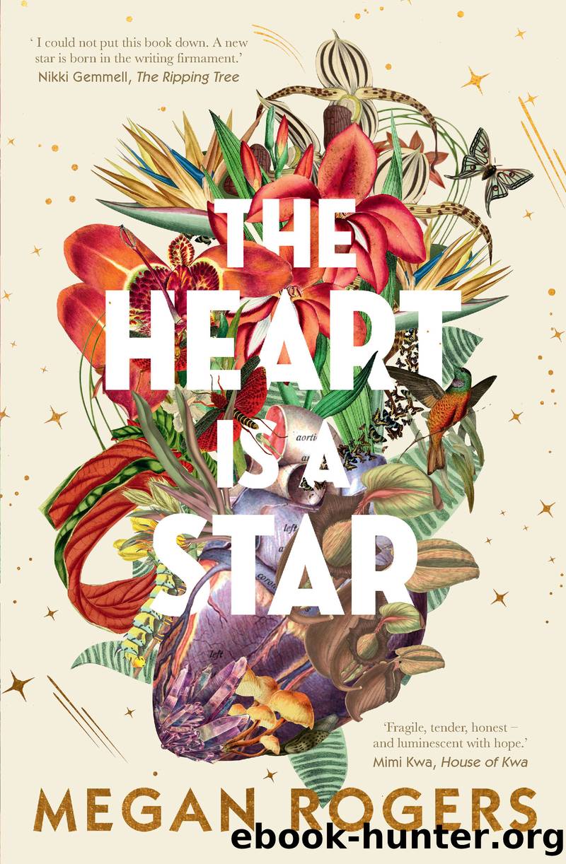 The Heart Is a Star by Megan Rogers