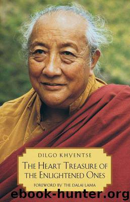 The Heart Treasure of the Enlightened Ones: The Practice of View, Meditation, and Action by Khyentse Rinpoche Dilgo & Patrul Rinpoche