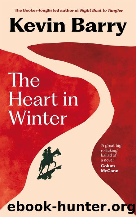 The Heart in Winter by Kevin Barry