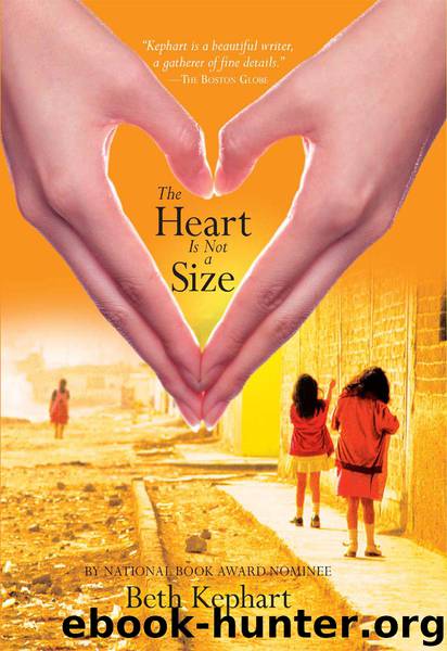 The Heart is Not a Size by Beth Kephart