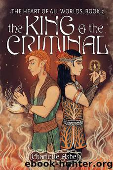 The Heart of All Worlds 2 - The King and the Criminal by Ashe Charlotte