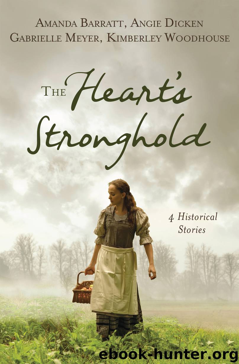 The Heart's Stronghold by Amanda Barratt