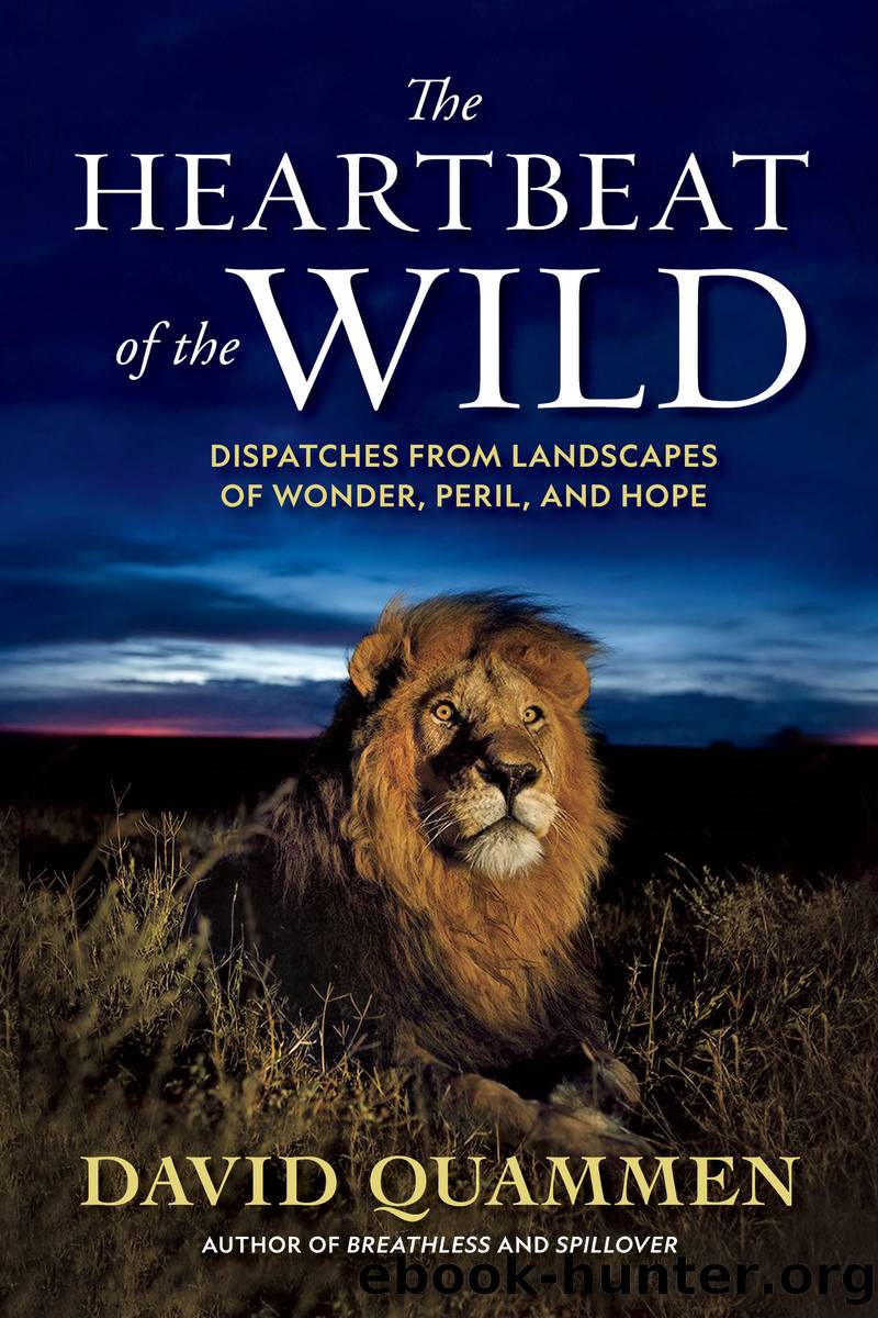 The Heartbeat of the Wild by David Quammen