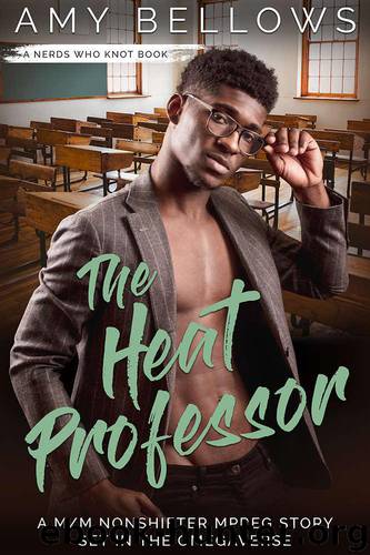 The Heat Professor (Nerds Who Knot Book 4) by Bellows Amy