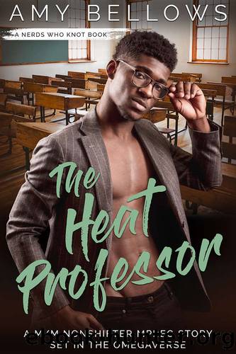 The Heat Professor by Amy Bellows