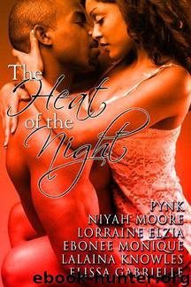The Heat of the Night (Peace in the Storm Publishing Presents) by Elissa Gabrielle & Pynk