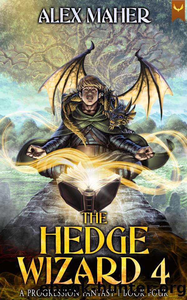 The Hedge Wizard 4: A LitRPGGameLit Adventure by Alex Maher
