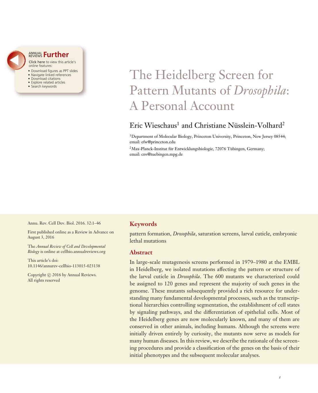 The Heidelberg Screen for Pattern Mutants of Drosophila: A Personal Account by Eric Wieschaus and Christiane Nüsslein-Volhard