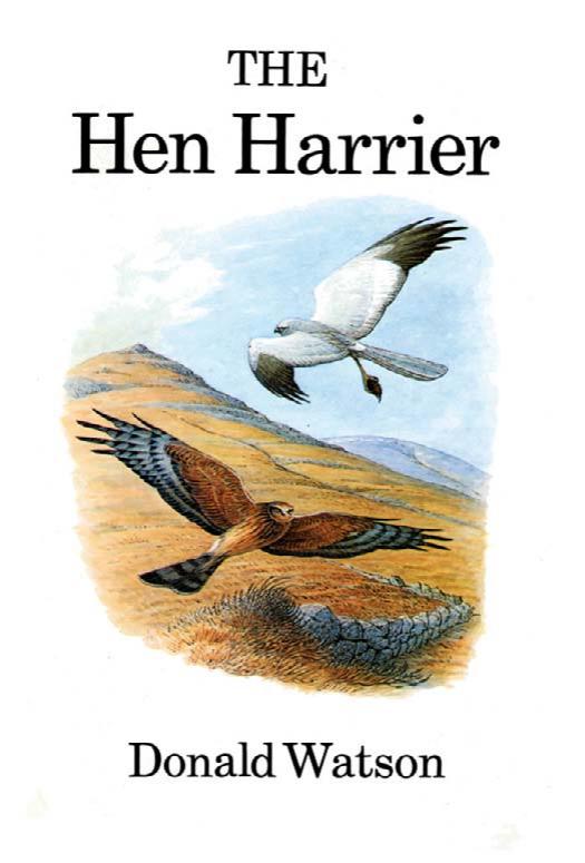 The Hen Harrier by Donald Watson
