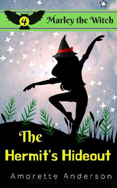 The Hermit's Hideout by Amorette Anderson