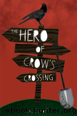 The Hero of Crow's Crossing by Schraff Anne