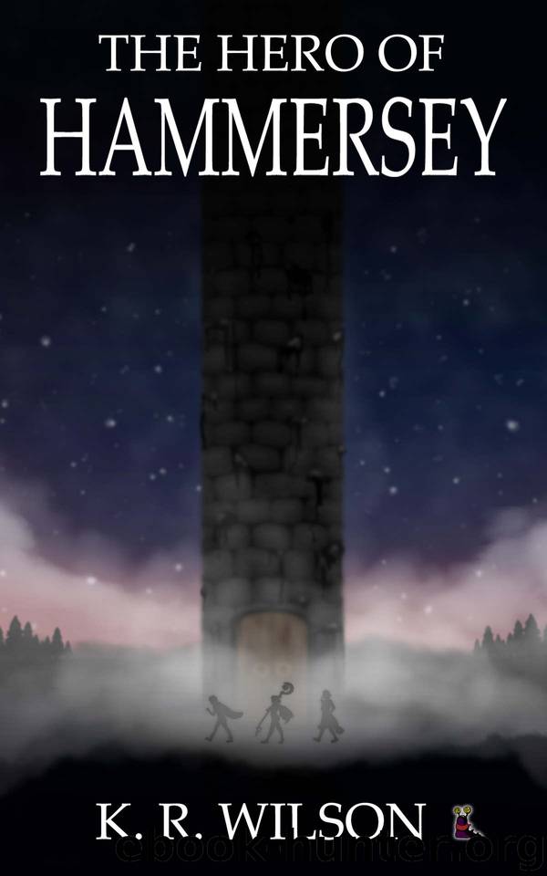The Hero of Hammersey by K R Wilson
