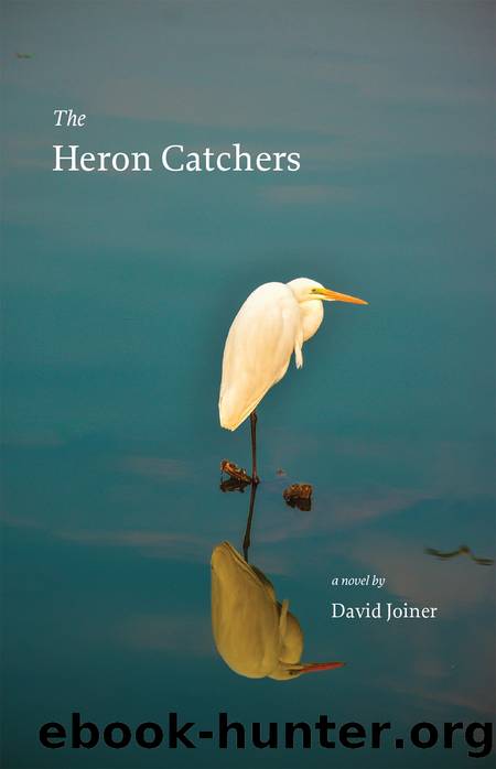 The Heron Catchers by David Joiner