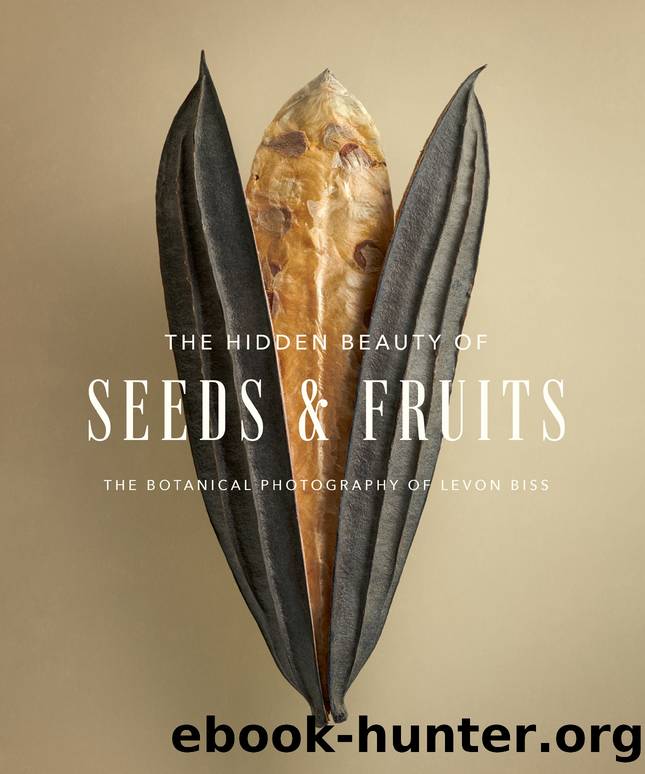 The Hidden Beauty of Seeds & Fruits: The Botanical Photography of Levon Biss by Levon Biss