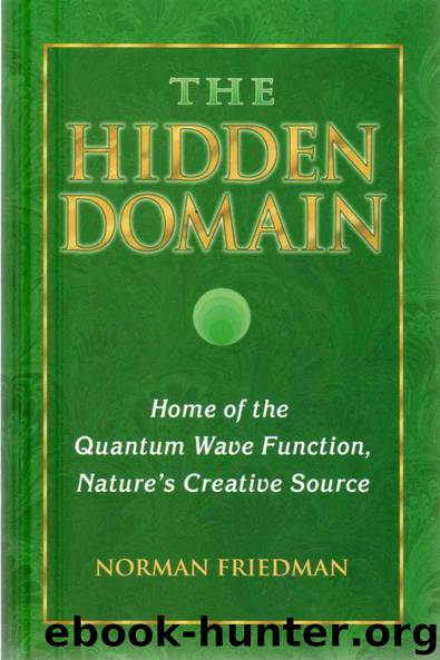 The Hidden Domain: Home of the Quantum Wave Function, Nature's Creative Source by Norman Friedman