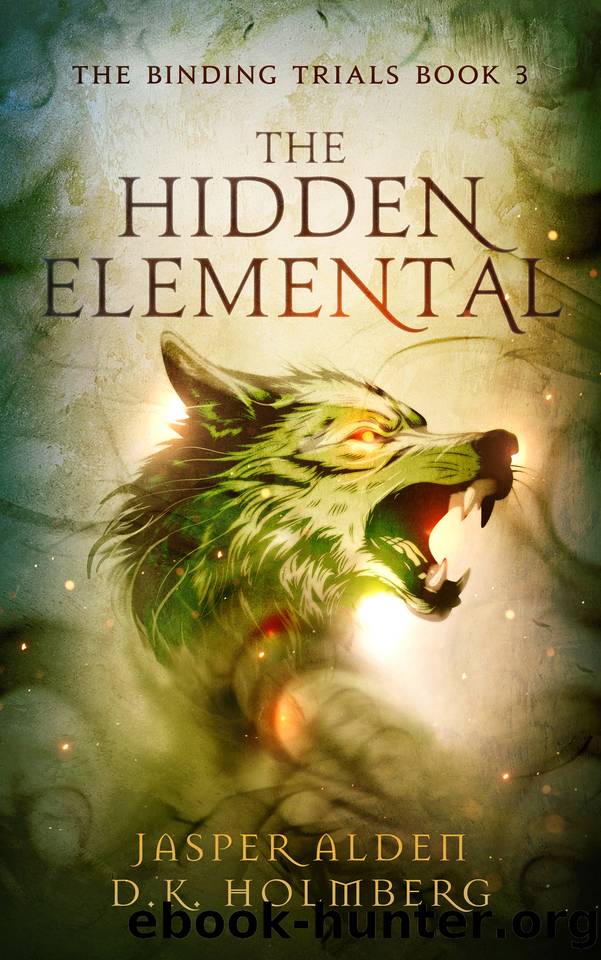 The Hidden Elemental (The Binding Trials Book 3) by D.K. Holmberg & Jasper Alden