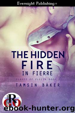 The Hidden Fire in Fierre by Tamsin Baker