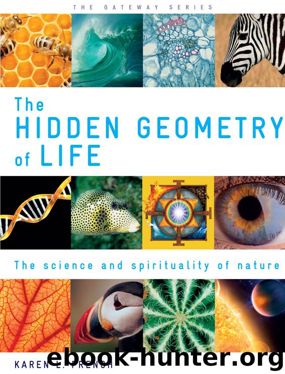 The Hidden Geometry of Life: The Science and Spirituality of Nature by French Karen L