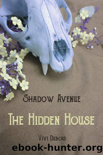 The Hidden House by Dubois ViVi