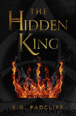 The Hidden King by E G Radcliff