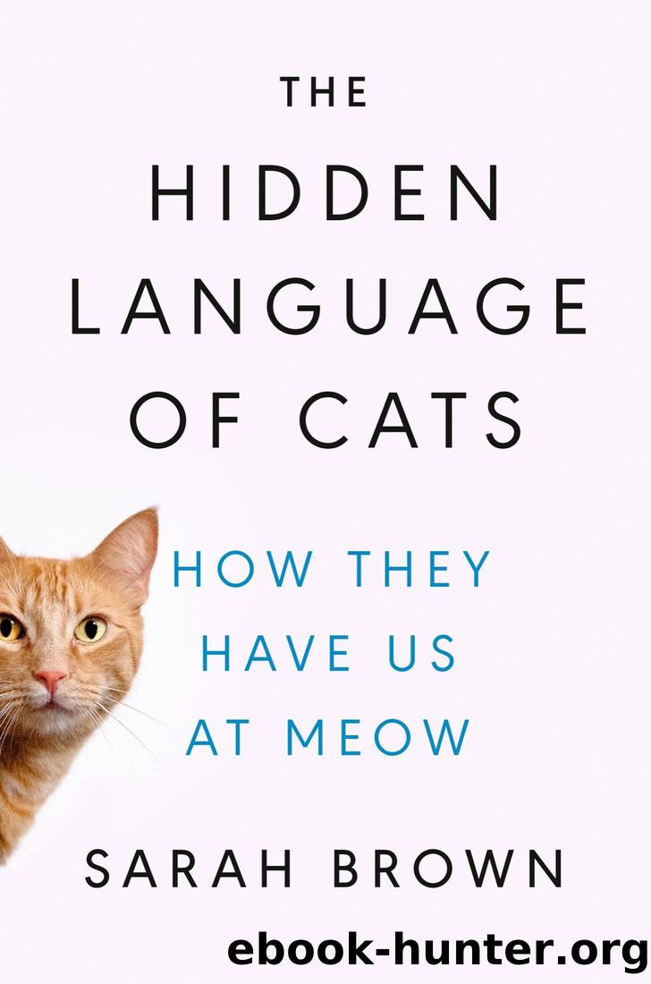 The Hidden Language of Cats by Sarah Brown PhD