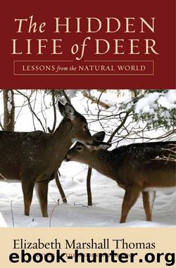 The Hidden Life of Deer by Elizabeth Marshall Thomas