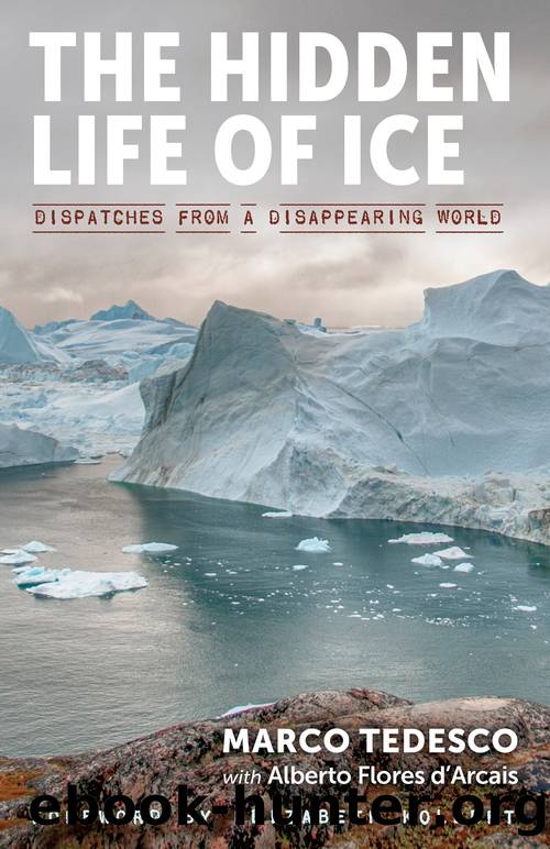 The Hidden Life of Ice by Marco Tedesco