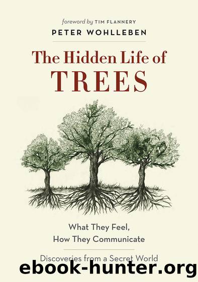 The Hidden Life of Trees: What They Feel, How They CommunicateÂDiscoveries from a Secret World by Peter Wohlleben