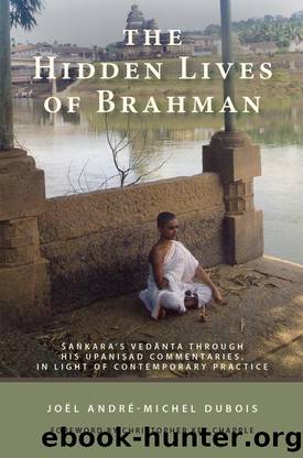 The Hidden Lives of Brahman by Dubois Joël André-Michel & Christopher Key Chapple