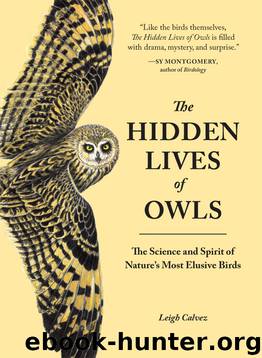 The Hidden Lives of Owls by Leigh Calvez