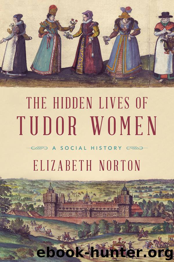 The Hidden Lives of Tudor Women by Elizabeth Norton