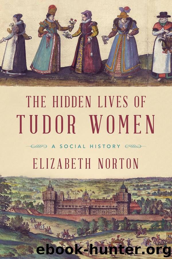 The Hidden Lives of Tudor Women: A Social History by Elizabeth Norton