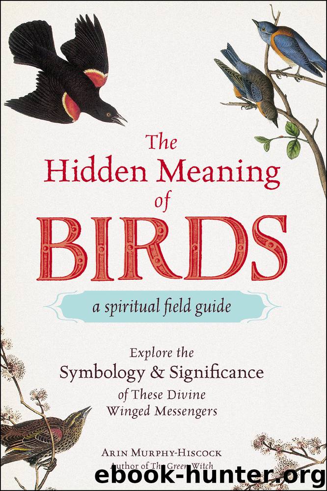 The Hidden Meaning of Birds—A Spiritual Field Guide by Arin Murphy-Hiscock
