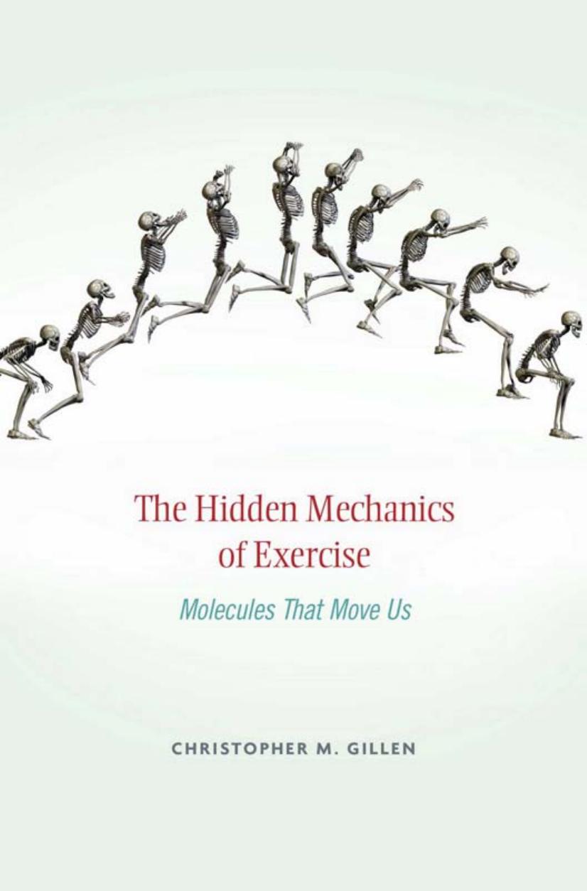 The Hidden Mechanics of Exercise: Molecules That Move Us (Repost) by Unknow