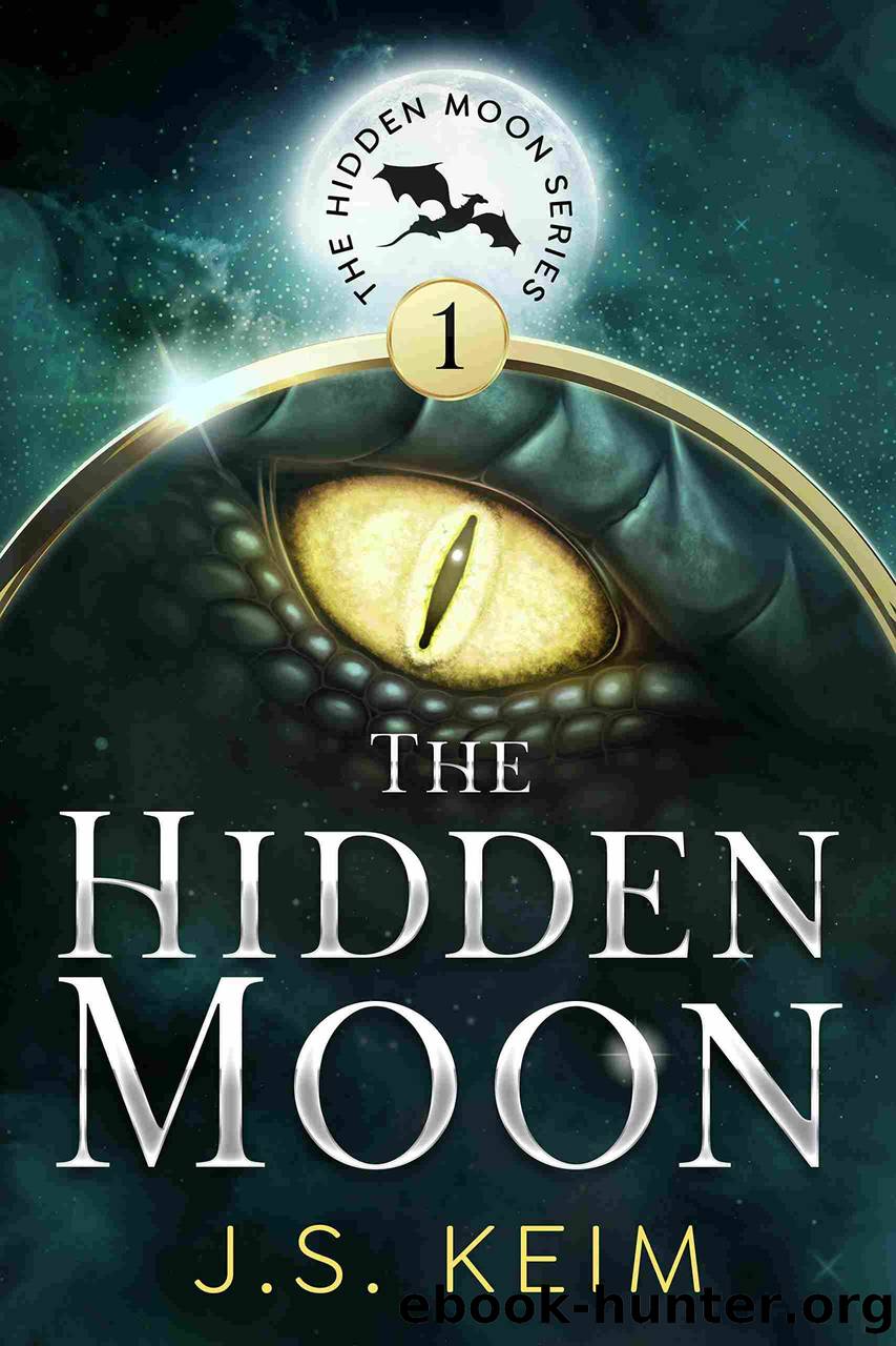 The Hidden Moon by J.S. Keim