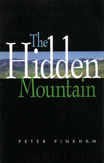 The Hidden Mountain by Peter Pinkham