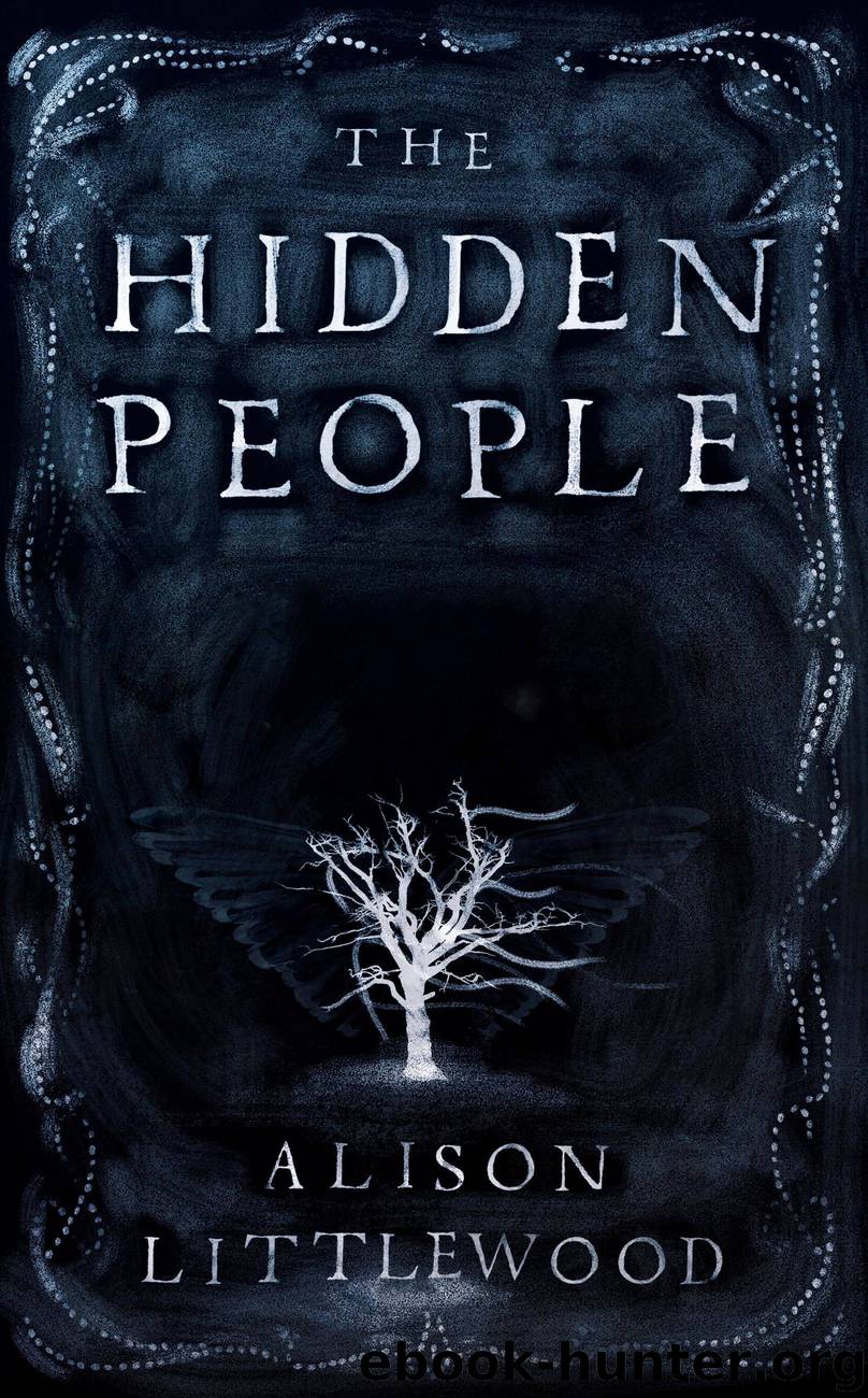 The Hidden People by Author