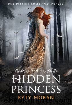 The Hidden Princess by Katy Moran