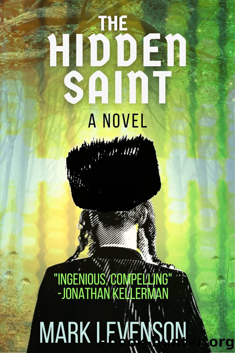 The Hidden Saint by Mark Levenson