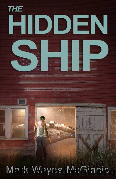The Hidden Ship by Mark Wayne McGinnis