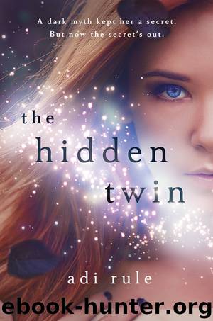 The Hidden Twin by Adi Rule