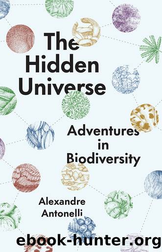 The Hidden Universe by Alexandre Antonelli