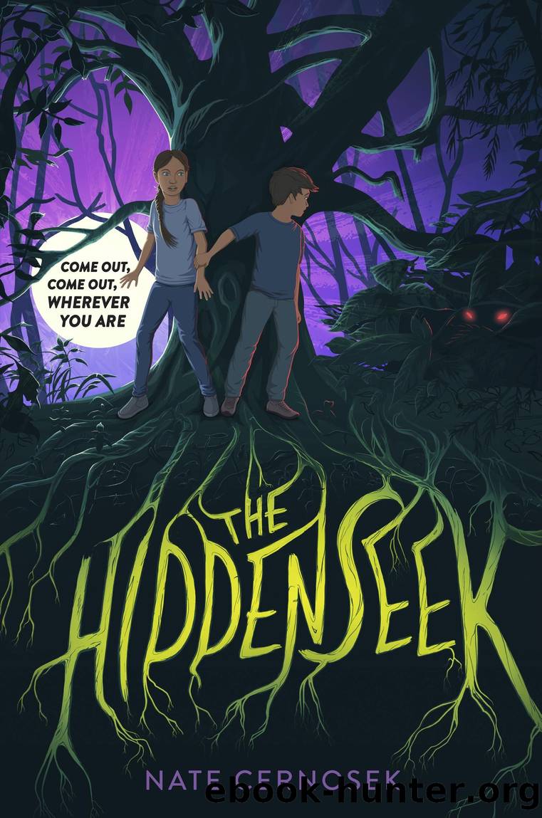 The Hiddenseek by Nate Cernosek