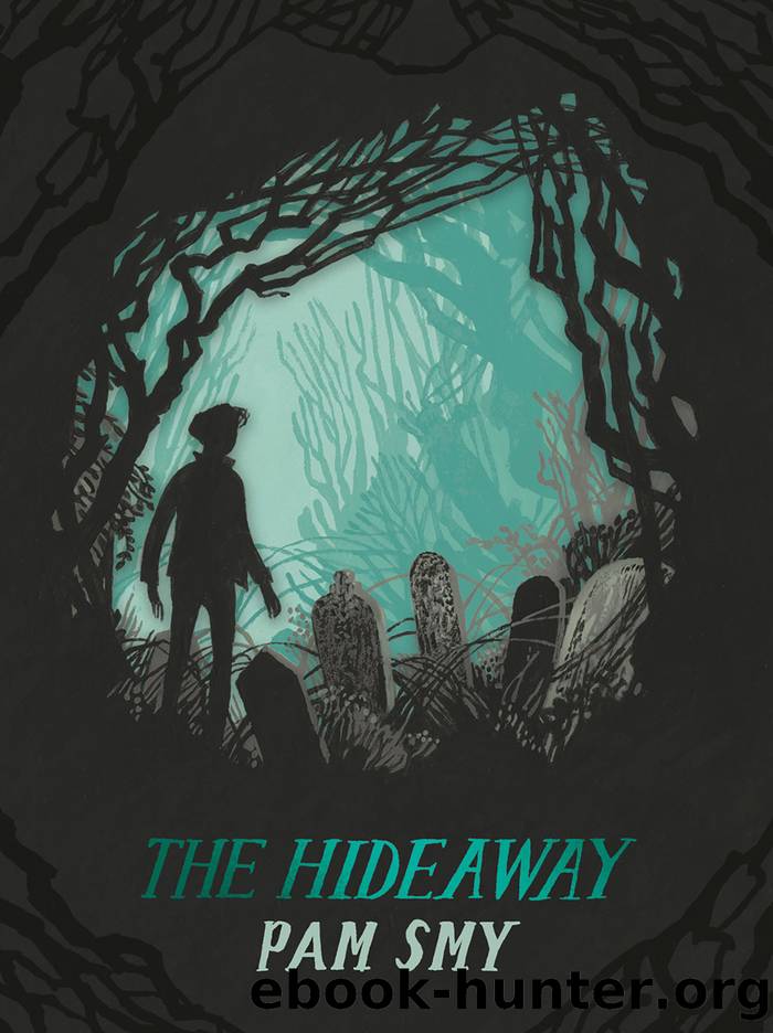 The Hideaway by Pam Smy