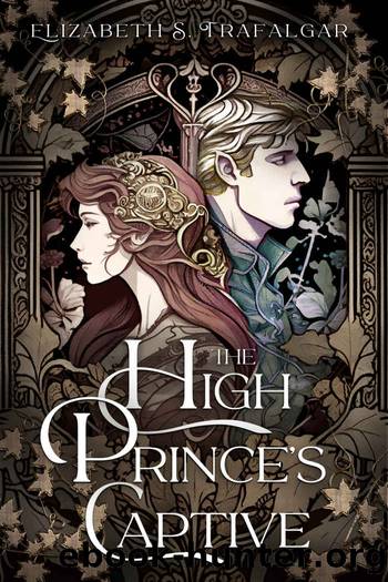 The High Prince's Captive (The Leugarvin Trilogy Book 1) by Elizabeth S. Trafalgar