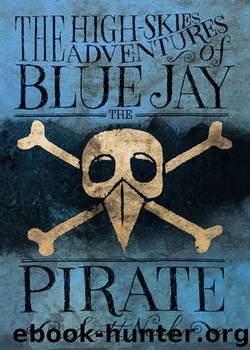 The High Skies Adventures of Blue Jay the Pirate by Scott Nash