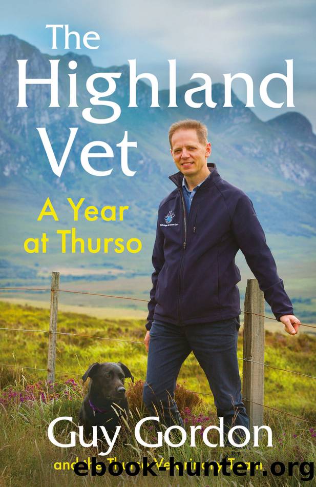 The Highland Vet by Guy Gordon