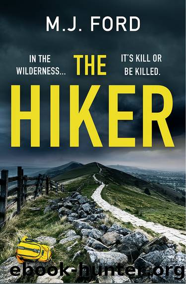 The Hiker by M.J. Ford